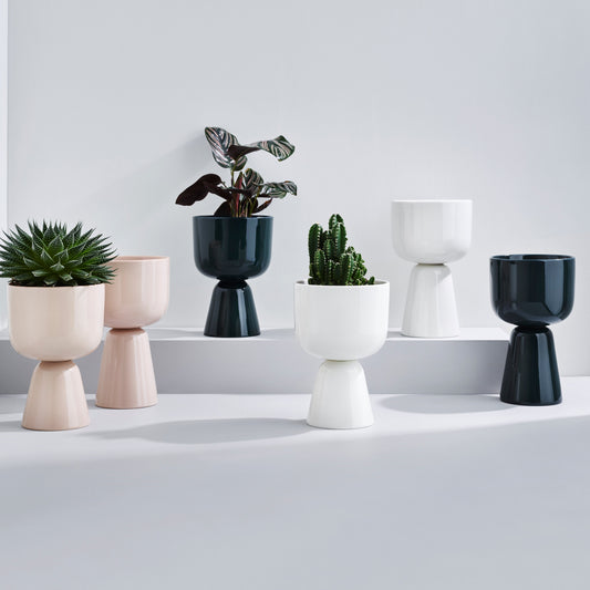 iittala